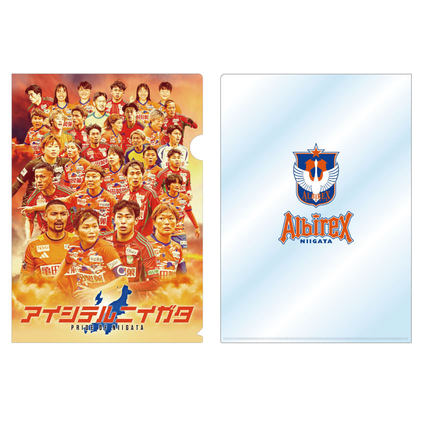 アルビレックス新潟 26アルビレックス新潟レディースコラボ クリア