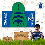 ＦＣ町田ゼルビア