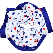ＦＣ東京