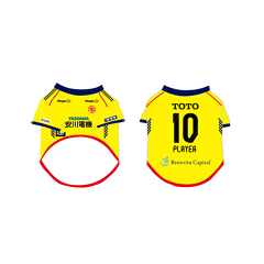 ギラヴァンツ北九州｜【公式】Jリーグオンラインストア J.LEAGUE