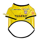 藤枝ＭＹＦＣ