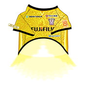 藤枝ＭＹＦＣ