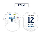 徳島ヴォルティス
