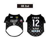 徳島ヴォルティス
