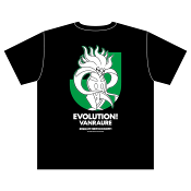 ヴァンラーレ八戸FC