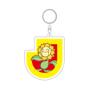 ギラヴァンツ北九州