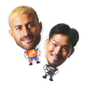 アルビレックス新潟