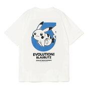 ブラウブリッツ秋田