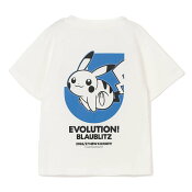 ブラウブリッツ秋田