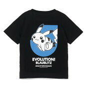 ブラウブリッツ秋田