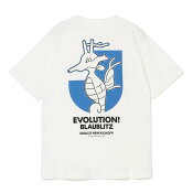 ブラウブリッツ秋田