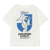 ブラウブリッツ秋田