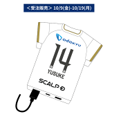 ＦＣ町田ゼルビア