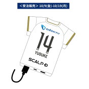ＦＣ町田ゼルビア